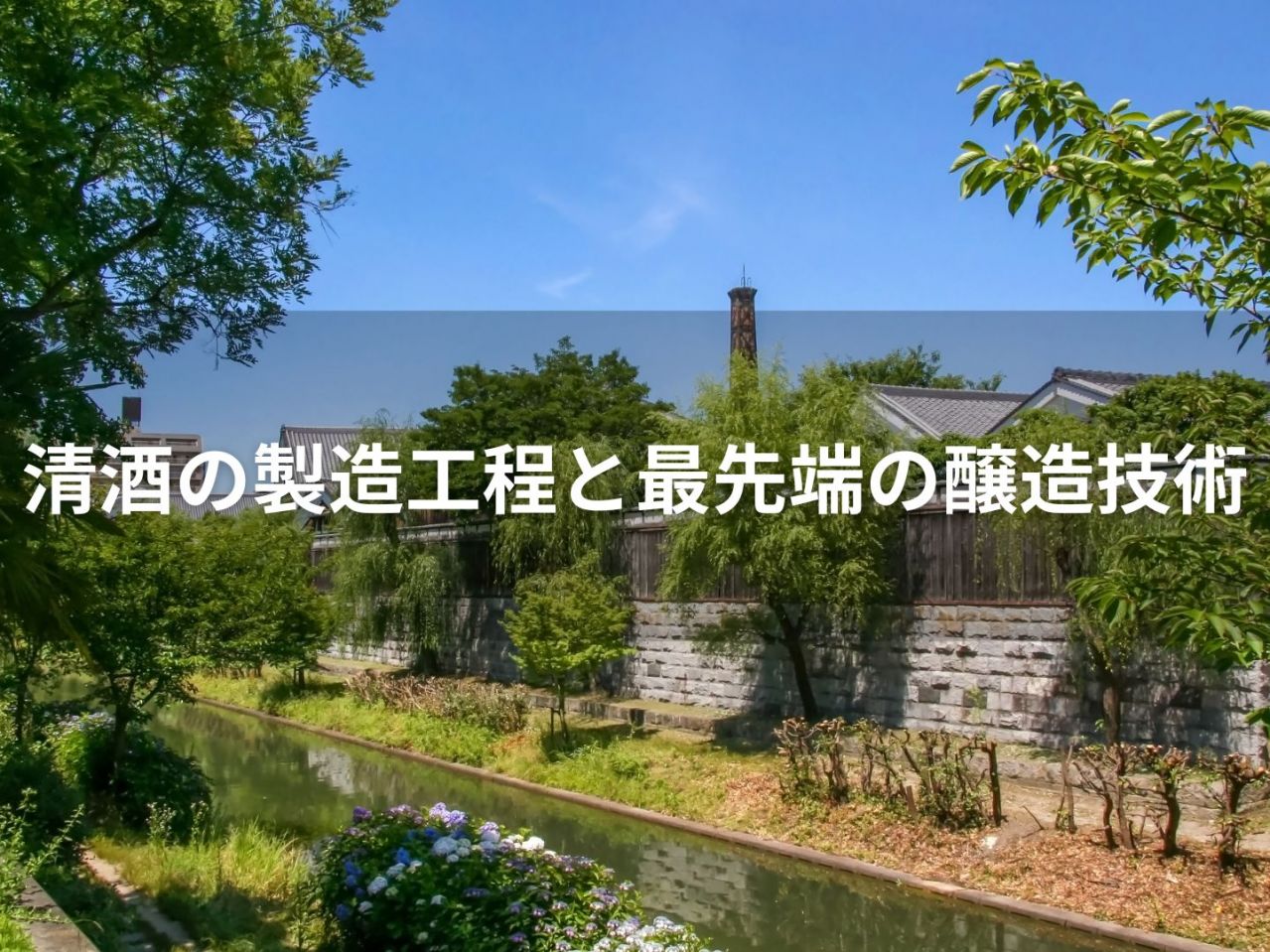 伝統と革新が交わる瞬間：清酒の製造工程と最先端の醸造技術