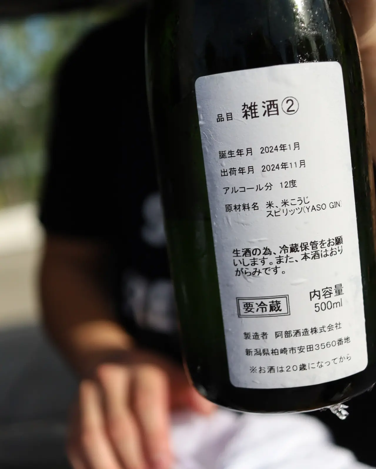 あべ REGULUS 2024 vol.2