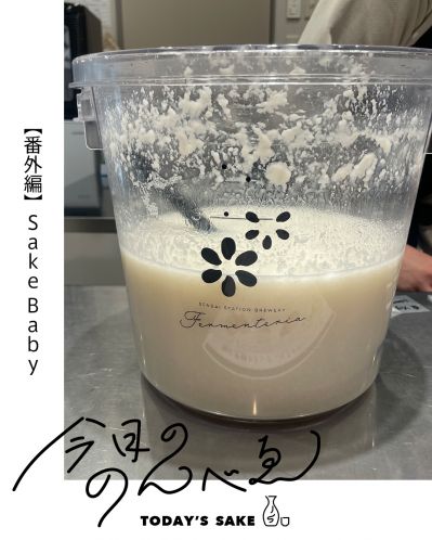 Sake Babyってどんなお酒？実際に飲んでみた感想
