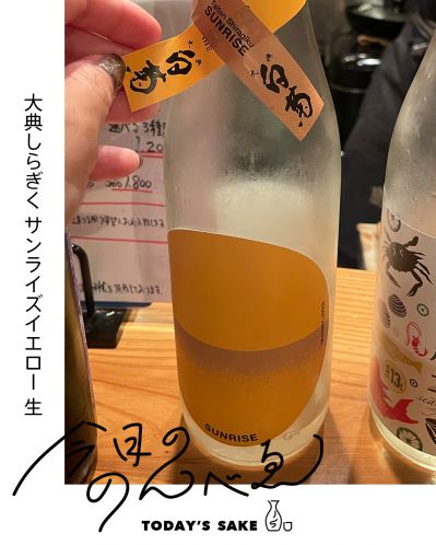 大典しらぎく サンライズイエロー 生ってどんなお酒？実際に飲んでみた感想