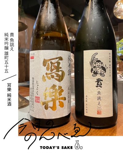 『貴 魚誂え』、『冩樂』ってどんなお酒？実際に飲んでみた感想