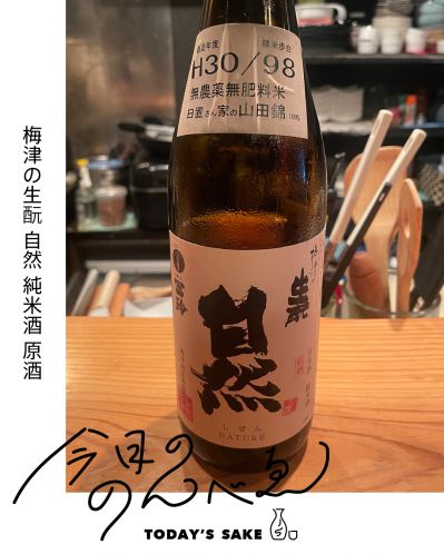 梅津の生酛 自然 NATURE 純米酒 原酒ってどんなお酒？実際に飲んでみた感想