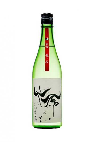 モダン仙禽 亀ノ尾