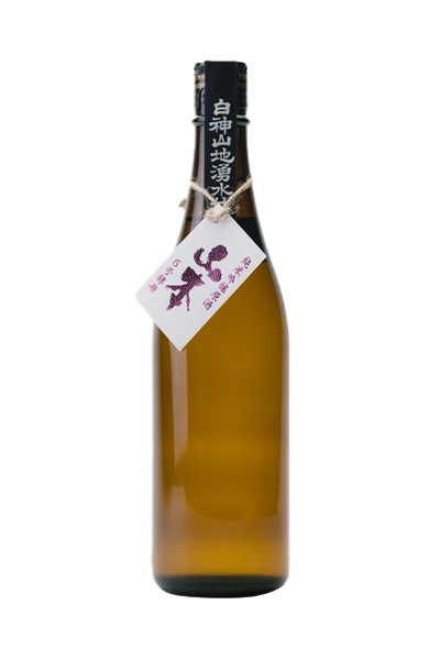 山本 6号酵母