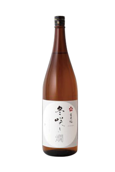 宮寒梅 冬咲き燗